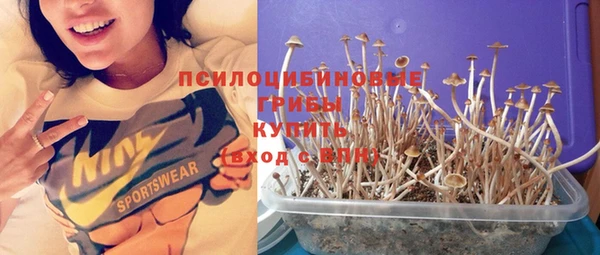 прущие крисы Балабаново